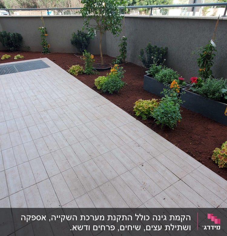 Thank you Asaf for giving me a beautiful garden to wake up to each morning!